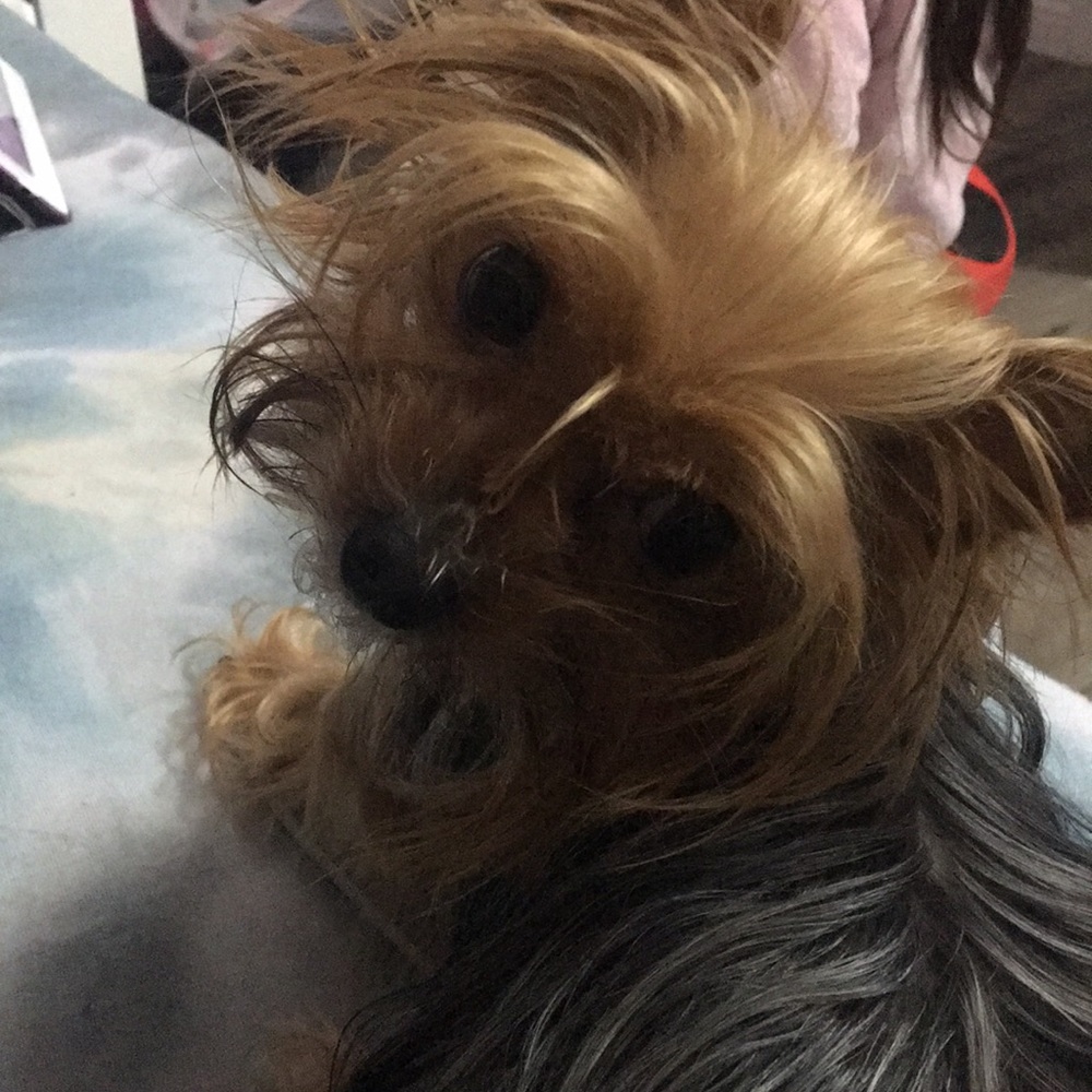 Meet your Posher, Michelle